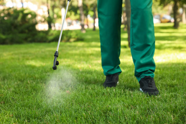 Best Cockroach Control Services  in New Fairview, TX