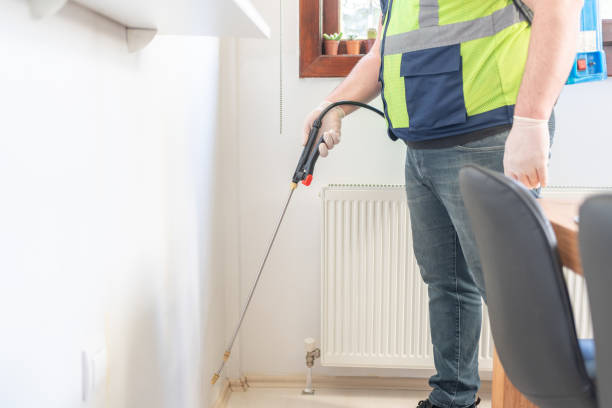 Best Flea Control Services  in New Fairview, TX