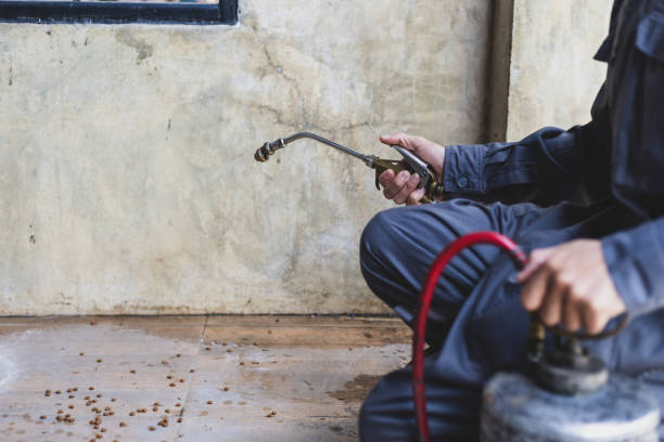 Best Pest Control Treatment  in New Fairview, TX